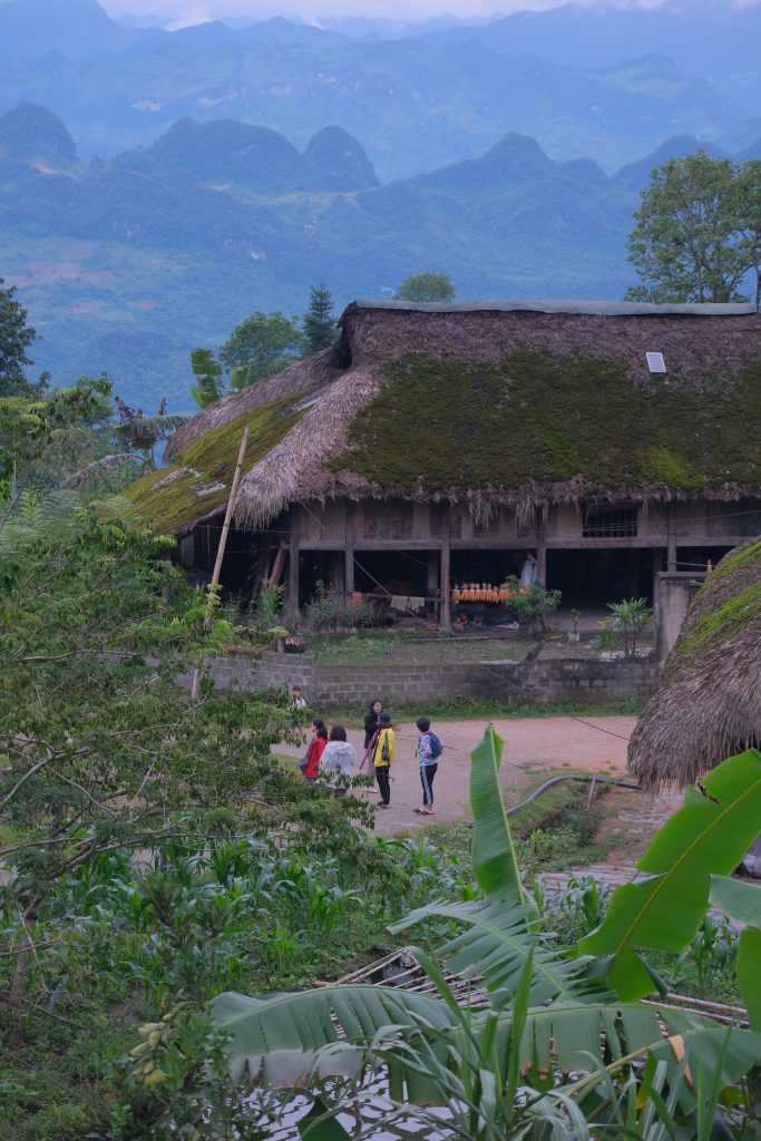 SAIGONMUSE TINH TEA 3